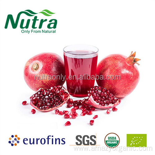 100% Organic Pomegranate Juice Concentrate Powder